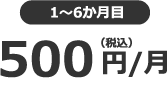 1~6か月目 500円(税込)/月