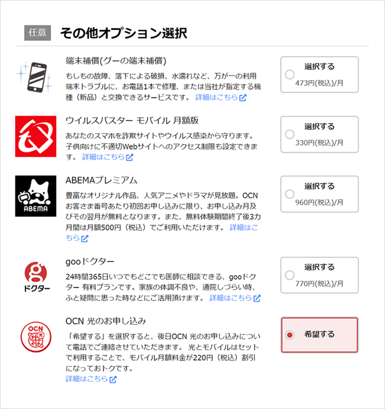「その他オプション選択」画面キャプチャ