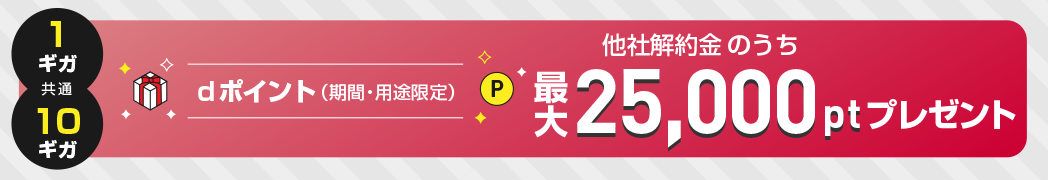 1ギガ・10ギガ共通 dポイント（期間・用途限定）他社解約金のうち25,000ptプレゼント