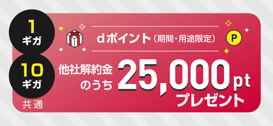 1ギガ・10ギガ共通 dポイント（期間・用途限定）他社解約金のうち25,000ptプレゼント