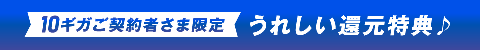 10ギガご契約の方限定　うれしい還元特典