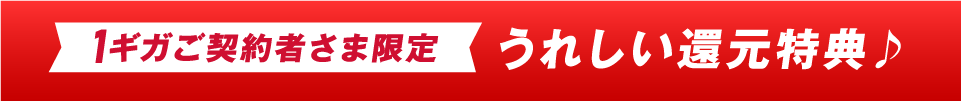 1ギガご契約の方限定　うれしい還元特典