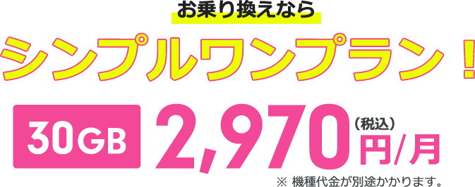 お乗り換えならシンプルワンプラン！30GB 2,970円（税込）/月 ※機種代金が別途かかります。