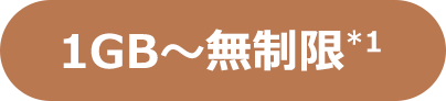 1GB〜無制限*1