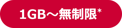 1GB〜無制限*