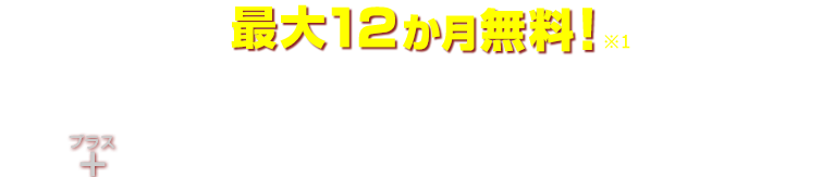 ウイルスバスター クラウド 月額版 + トレンドマイクロ ID プロテクション 月額版 12か月無料